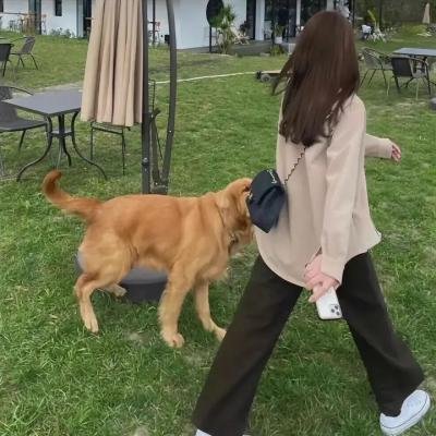 心灵猎人第二季